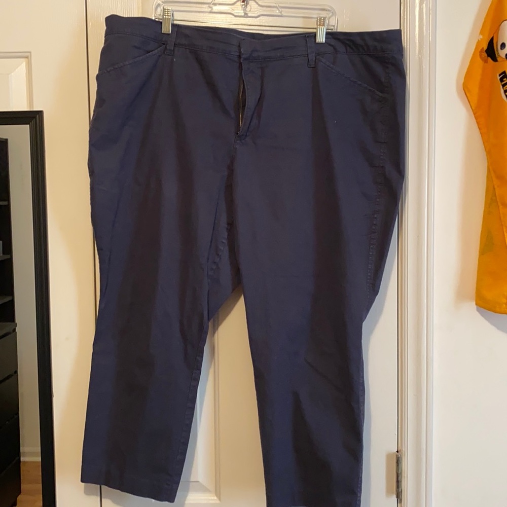 Old Navy pixie ankle pants size 24 short
